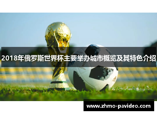 2018年俄罗斯世界杯主要举办城市概览及其特色介绍