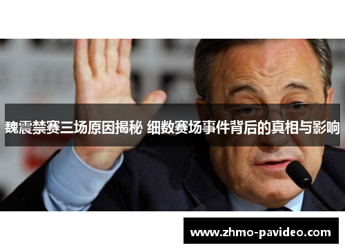 魏震禁赛三场原因揭秘 细数赛场事件背后的真相与影响