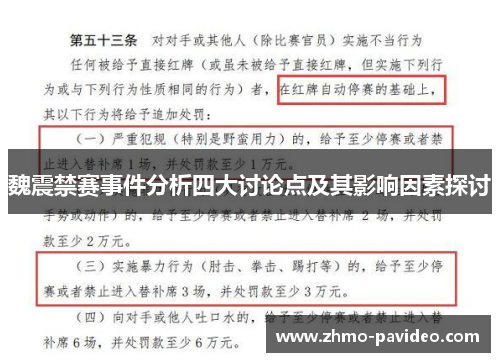 魏震禁赛事件分析四大讨论点及其影响因素探讨
